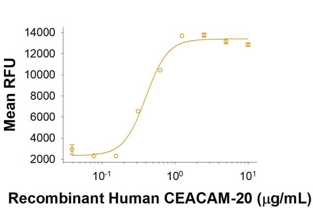 R&D Systems rhCEACAM-20 His CF (50 UG)