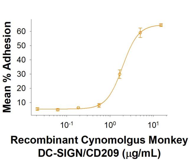R&D Systems Recombinant Cynomolgus DC-SIGN/CD209 HA-tag Prot