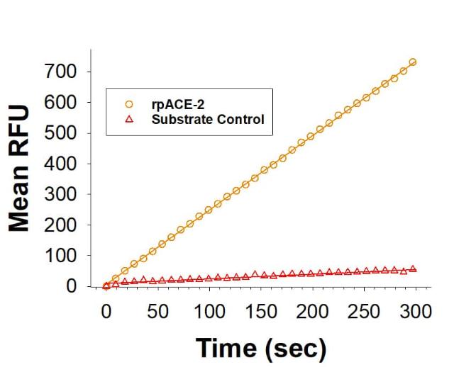 R&D Systems RecombinantPorcine ACE-2 His-tag Protein CF (20
