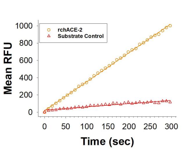 R&D Systems Recombinant Chicken ACE-2 His-tag Protein CF (20