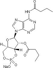 Tocris Dibutyryl-cAMP, sodium salt, 10 m