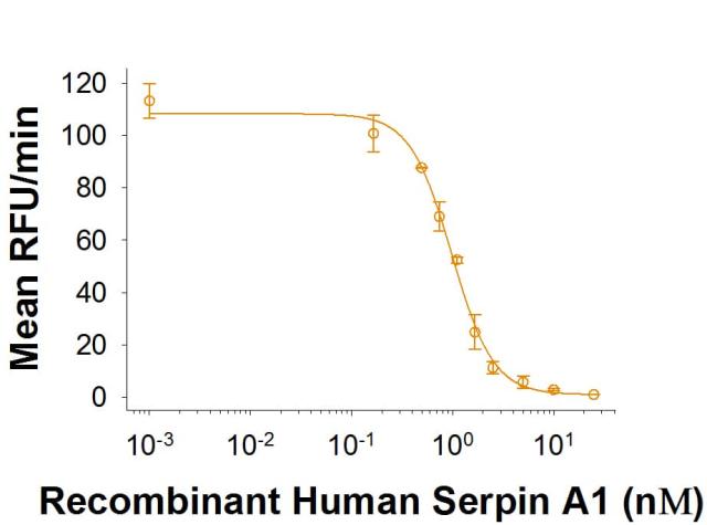 R&D Systems Recombinant Human Serpin A1/