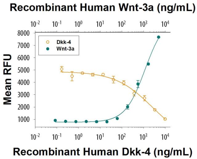R&D Systems Recombinant Human Dkk-4 Prot