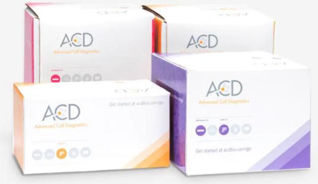 ACD  RNAscope® Probe - Mm-Tyro3-C2