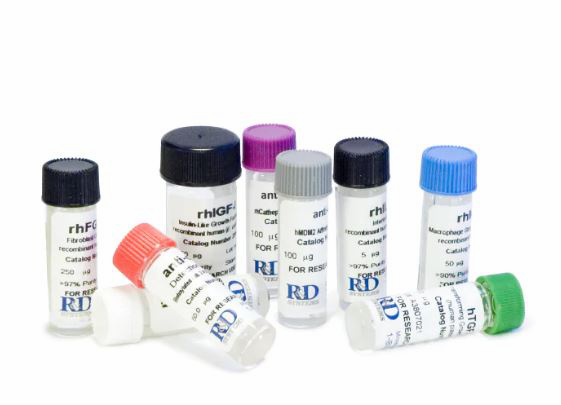 R&D Systems Recombinant Human COX-2 His-tag Protein CF (50 U