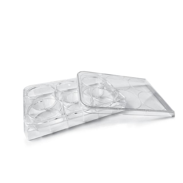 IVT LabFlow 6-well Cell Culture Plate, Flat, TC treated, Ste