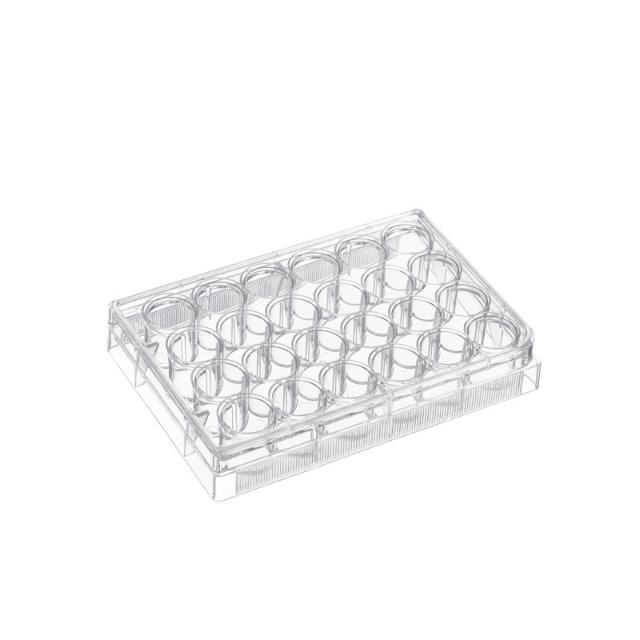 IVT LabFlow 24-well Cell Culture Plate, Flat, TC treated, St