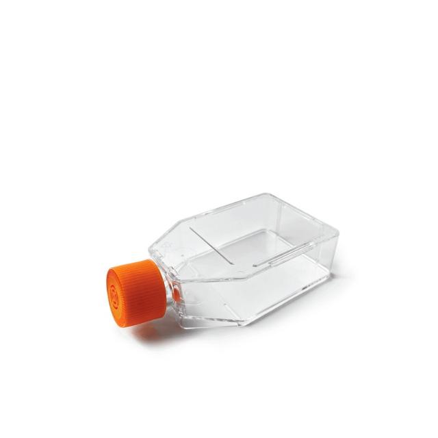 IVT LabFlow 25cm² Cell Culture Flask with Filter Vent Cap, T